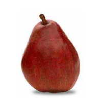 Red d'Anjou
